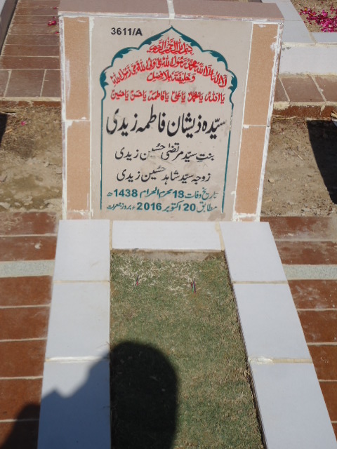 13611 – Syeda Zeeshan Fatima Zaidi