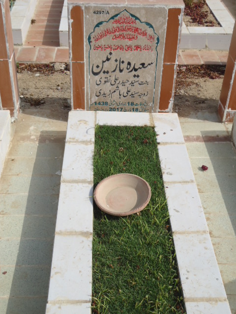 14297 – Saeeda Nazneen