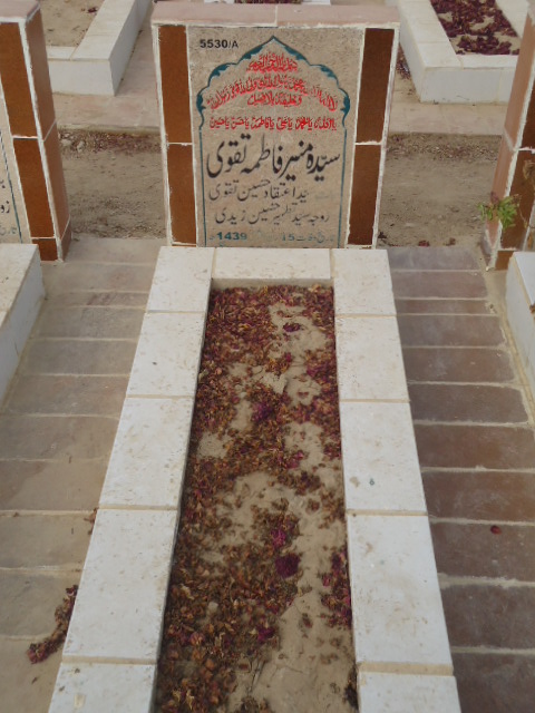15530 – Syeda Muneer Fatima Taqvi