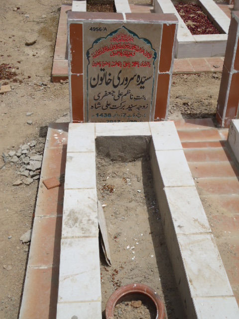 14956 – Syeda Sarwari Khatoon