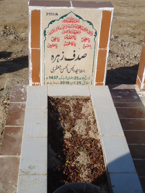 13199 – Sadaf Zehra