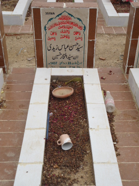 13519 – Syed Hassan Abbas Zaidi