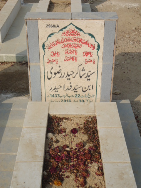 12968 – Syed Shakir Haider Rizvi