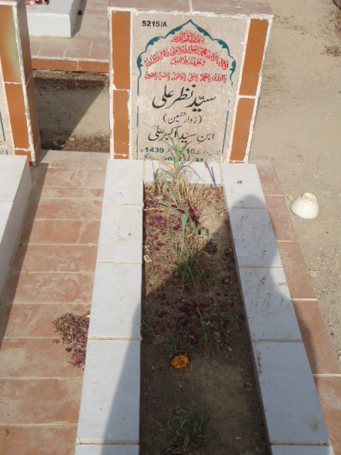 15215 – Syed Nazar Ali