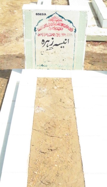 16583 – Aneesa Zehra