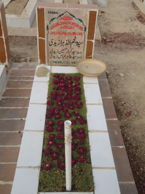 15528 – Syeda Najmul Zehra Zaidi