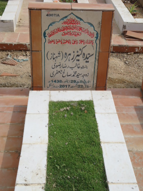 14907 – Syeda Kaneez Zehra