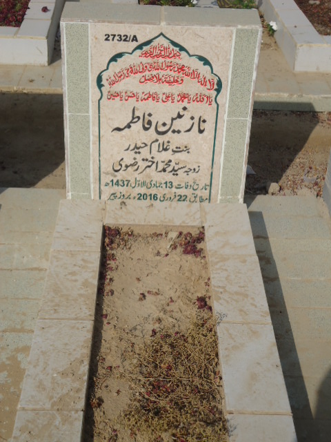 12732 – Nazneen Fatima