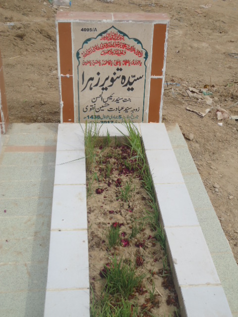 14095 – Syeda Tanveer Zehra