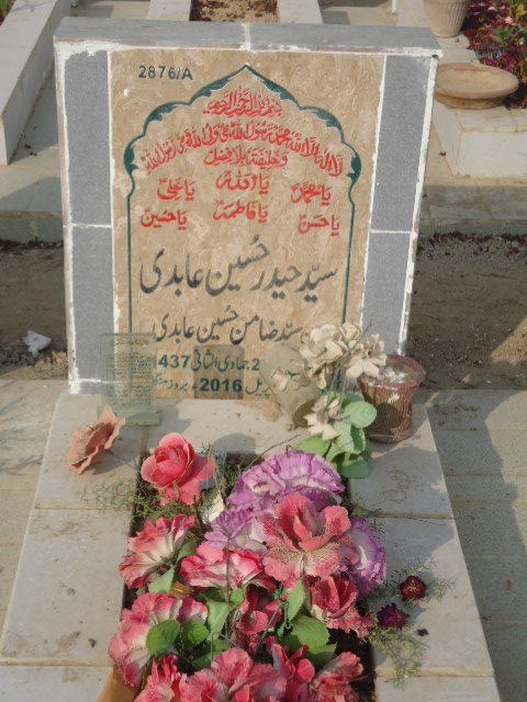 12876 – Syed Haider Hussain Abidi