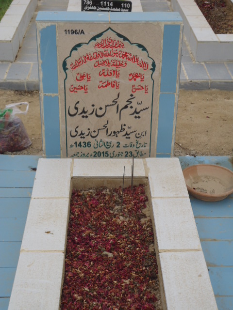 11196 – Syed Najam Ul Hasan Zaidi