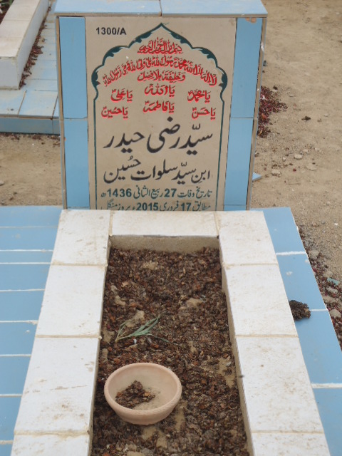 11300 – Syed Razi Haider