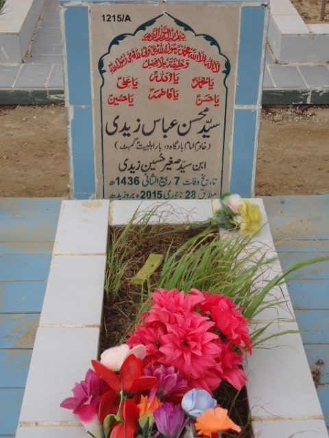 11215 – Syed Mohsin Abbas Zaidi