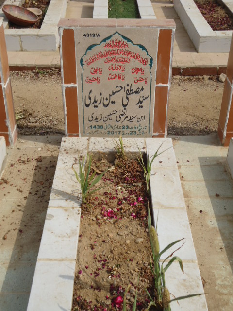 14319 – Syed Mustafa Hussain Zaidi