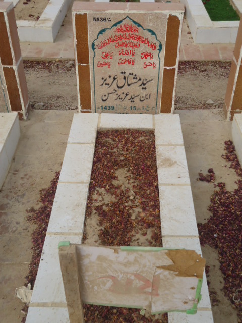 15536 – Syed Mushtaq Aziz