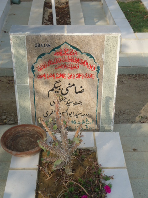 12841 – Zamini Begum