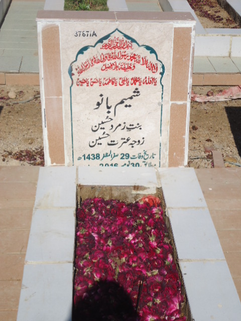13787 – Shamim Bano