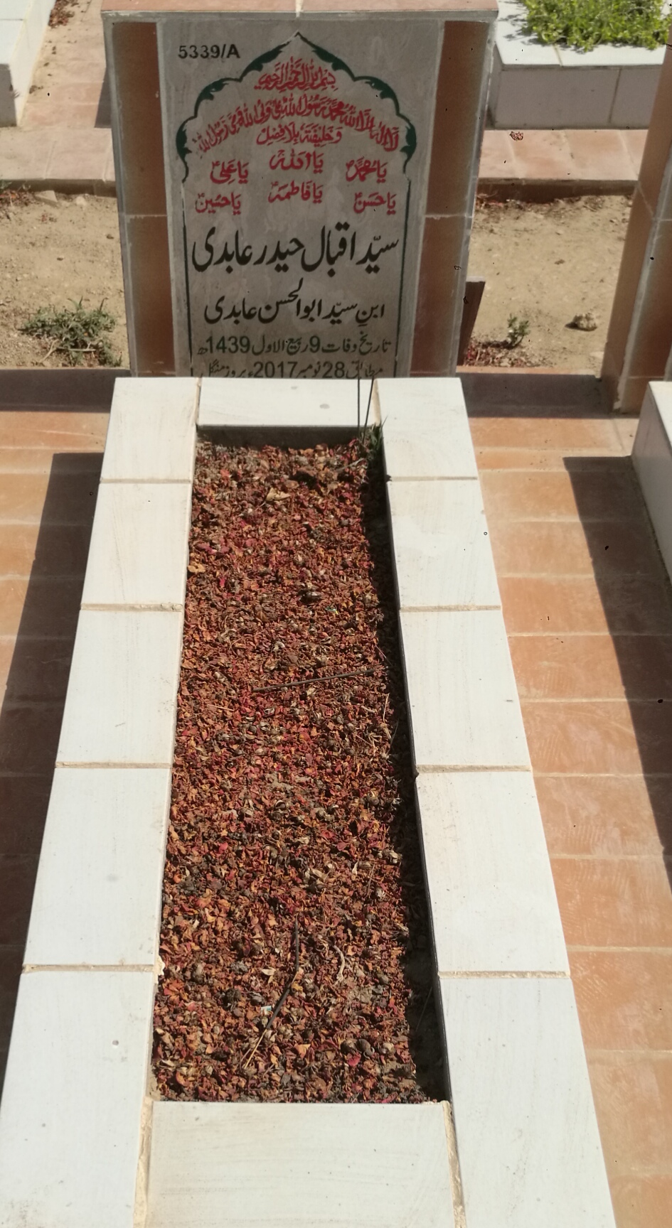 15339 – Syed Iqbal Haider Abidi