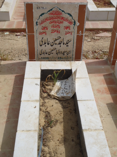 15138 – Syed Majid Hussain Abidi