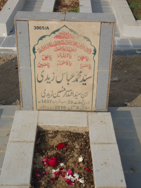 13005 – Syed Muhammad Abbas Zaidi