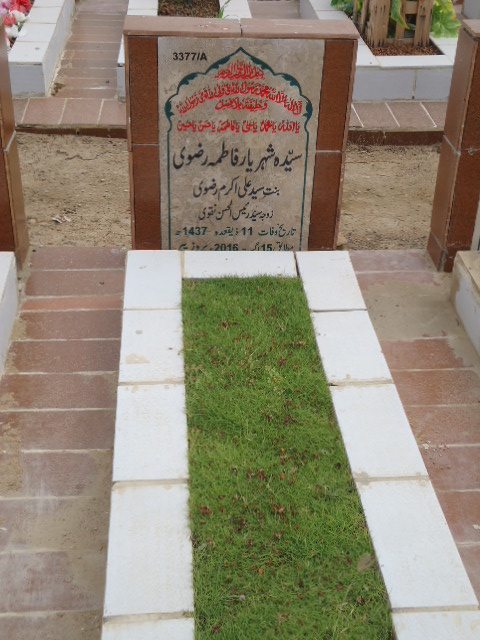 13377 – Syeda Sheheryar Fatima Rizvi