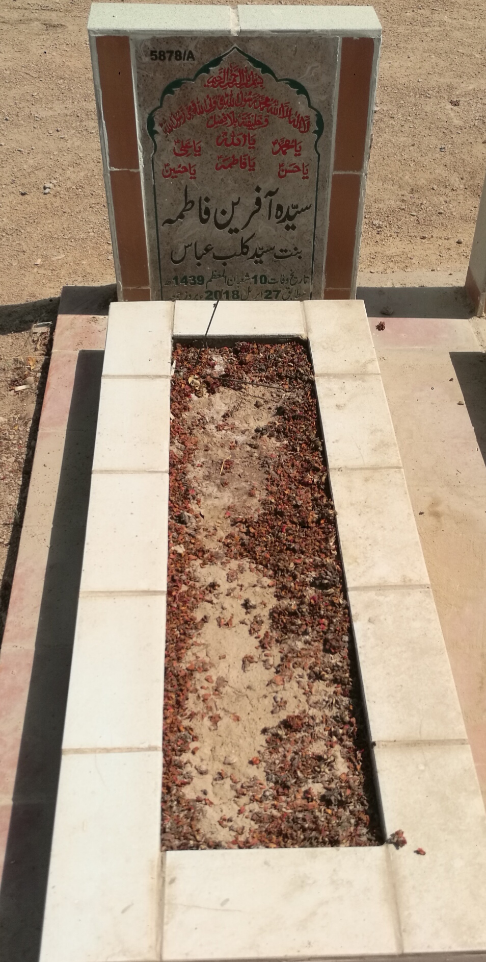15878 – Syed Afreen Fatima