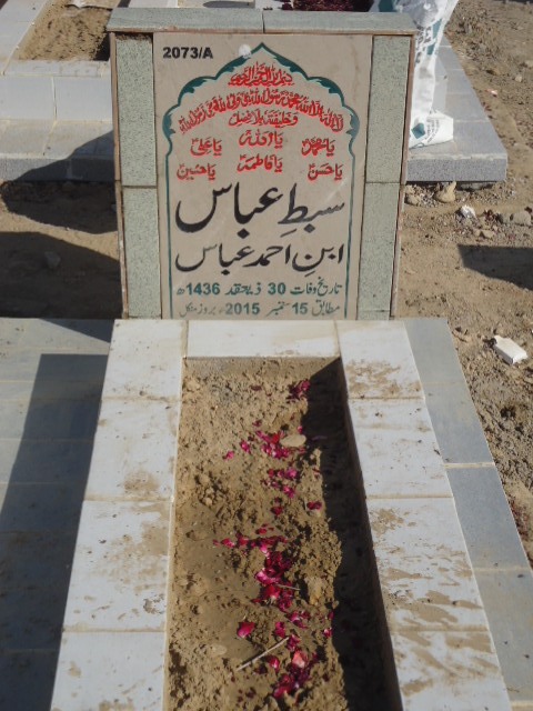 12073 – Sibte Abbas