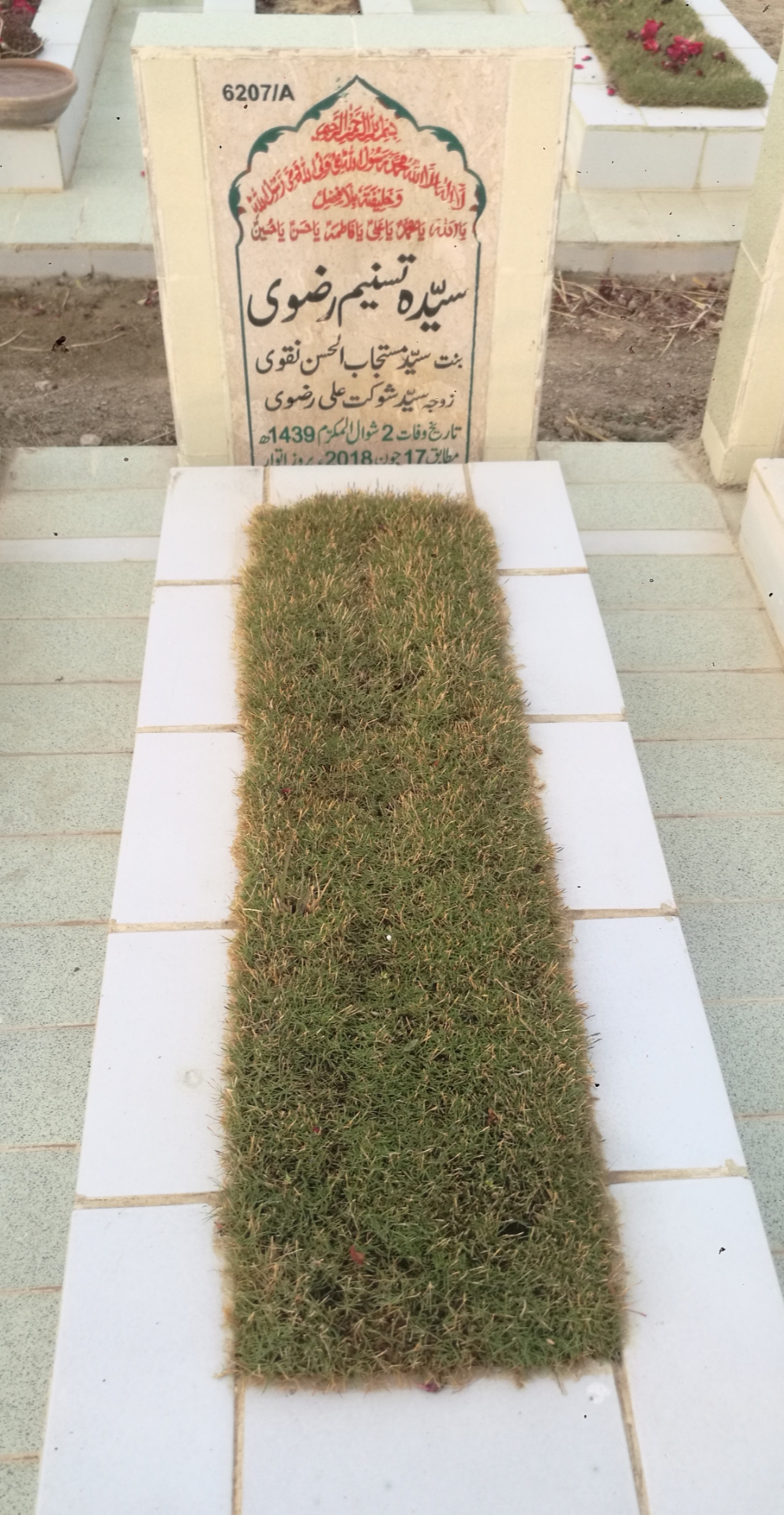 16207 – Syeda Tasneem Rizvi