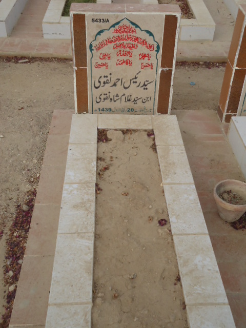 15433 – Syed Raees Ahmed Naqvi
