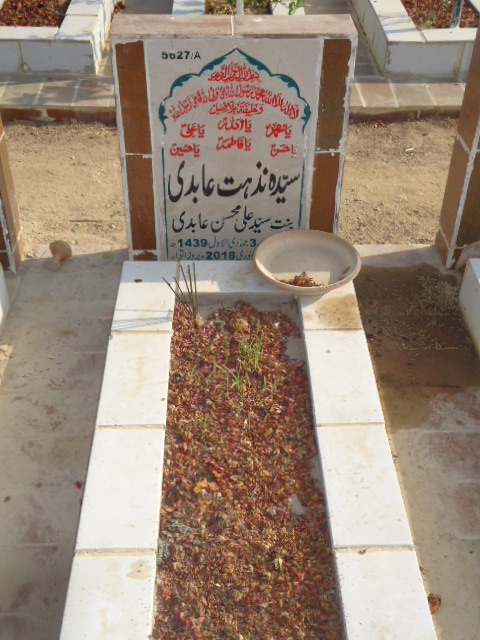 15627 – Syeda Nuzhat Abidi
