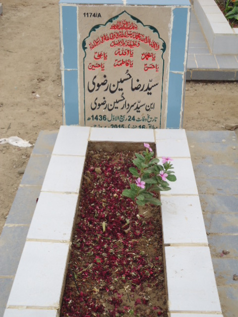 11174 – Syed Raza Hussain Rizvi