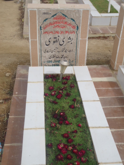 13805 – Bushra Naqvi