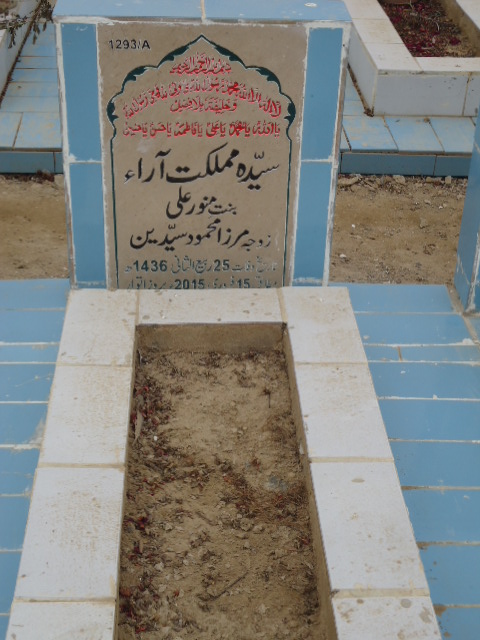 11293 – Syeda Mumlikat Arra