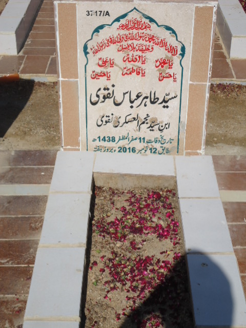 13717 – Syed Tahir Abbas Naqvi