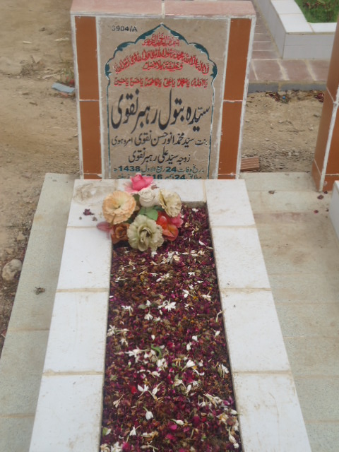 13904 – Syeda Batool Rehber Naqvi
