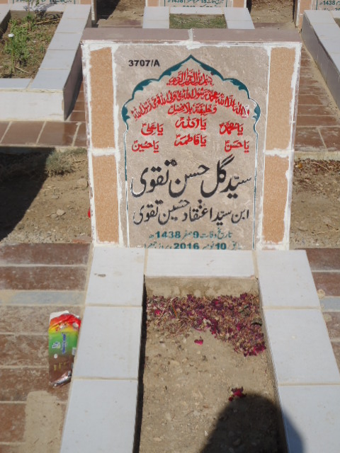 13707 – Syed Gul Hassan Taqvi