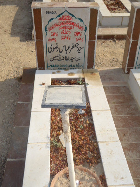 15640 – Syed Jaffar Abbas Rizvi