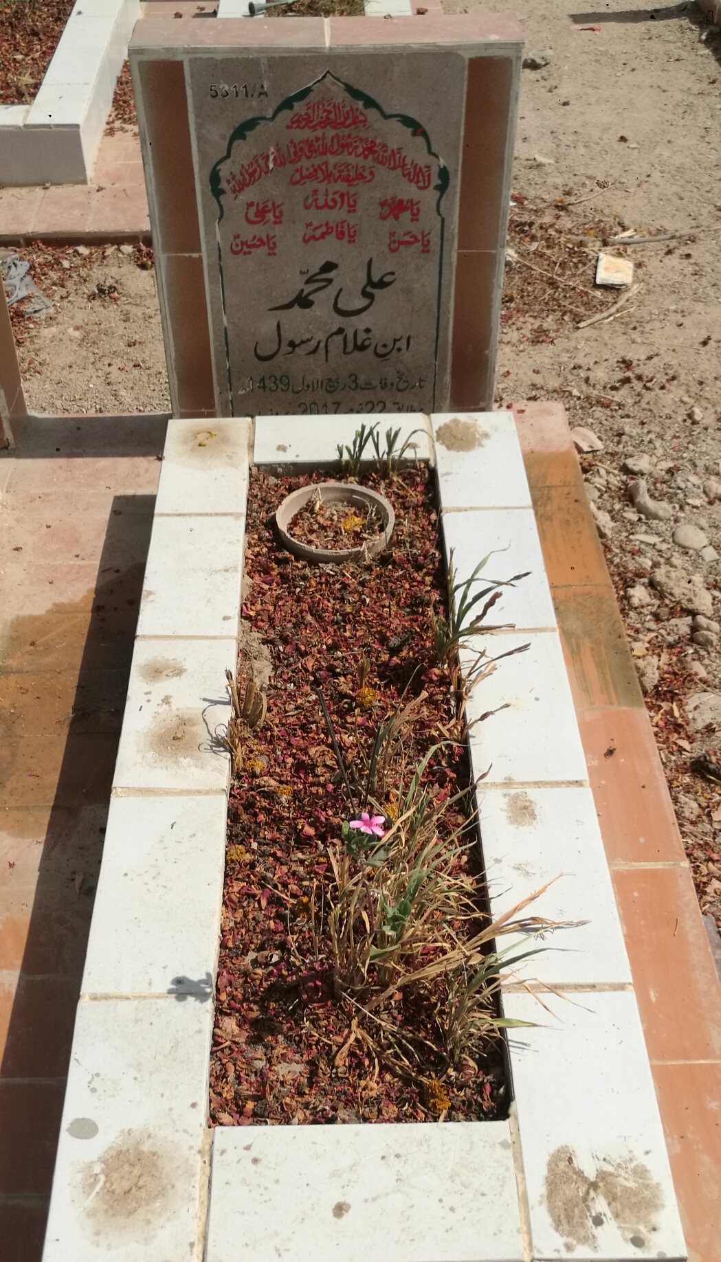 15311 – Ali Muhammad