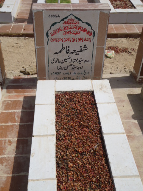 13356 – Shafiaa Fatima