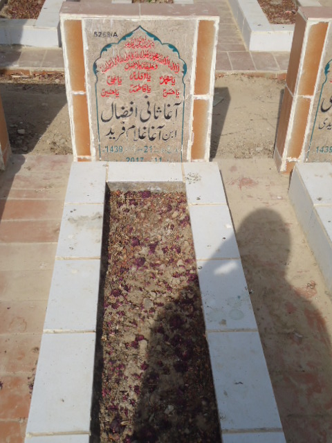 15269 – Agha Sani Afzaal