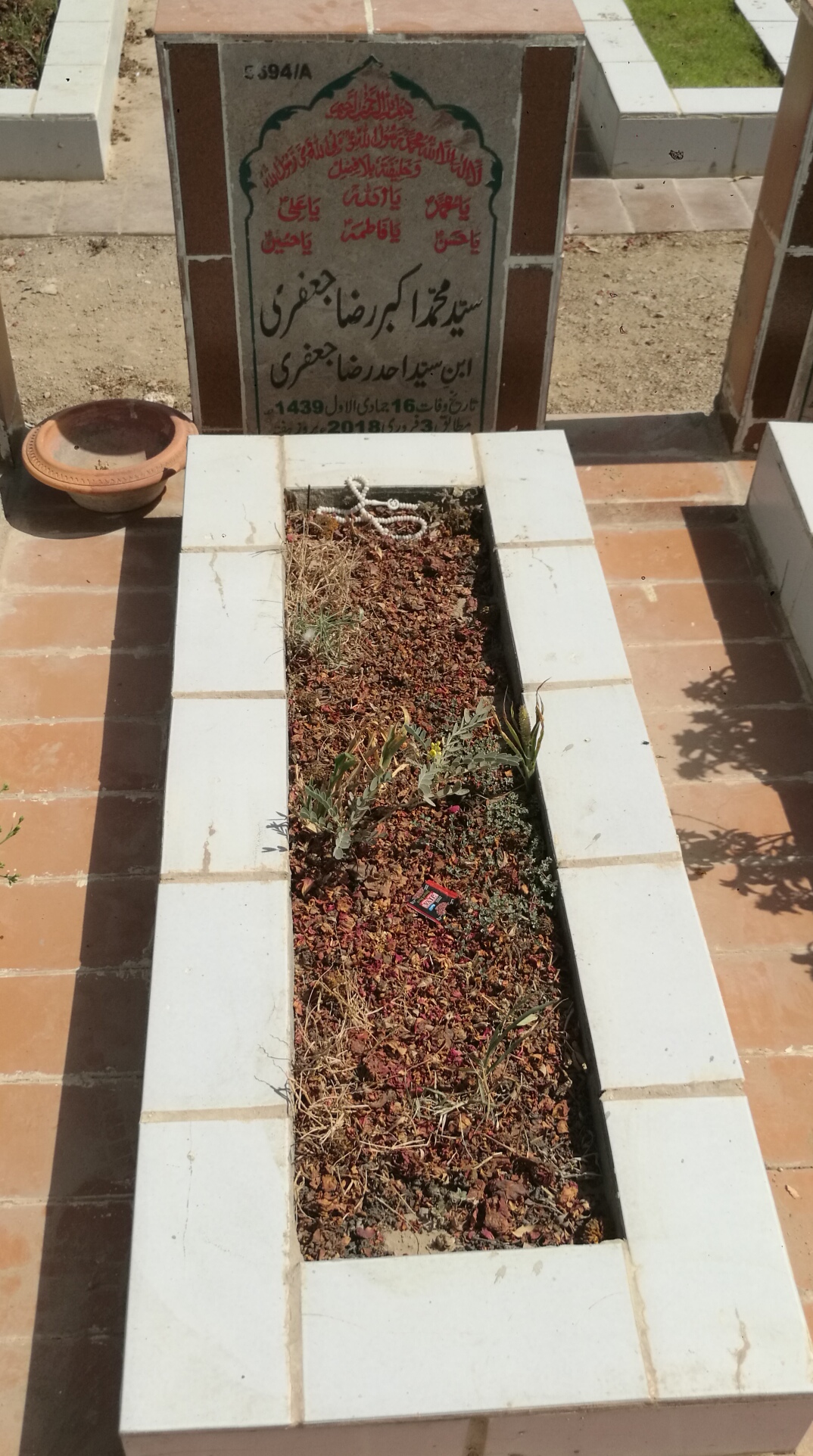 15694 – Syed Muhammad Akbar Raza Jaffery