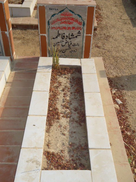 15871 – Shamshad Fatima
