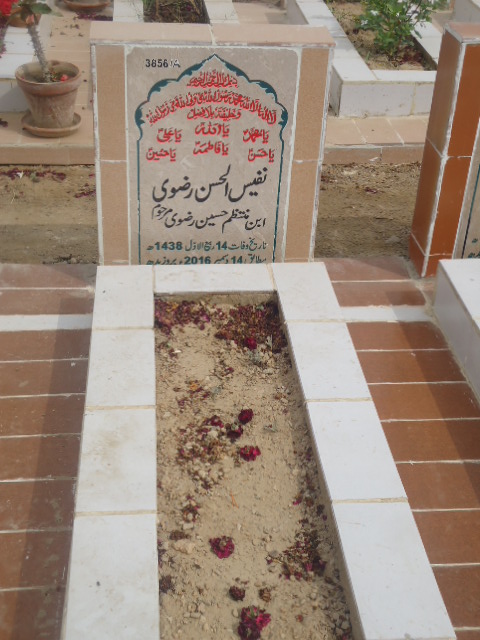 13856 – Syed Nafees Ul Hassan Rizvi