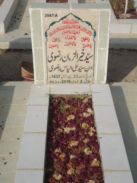 12667 – Syed Khair Uz Zaman Rizvi