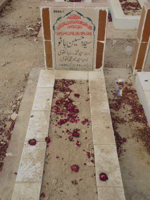 15544 – Syeda Hussain Bano