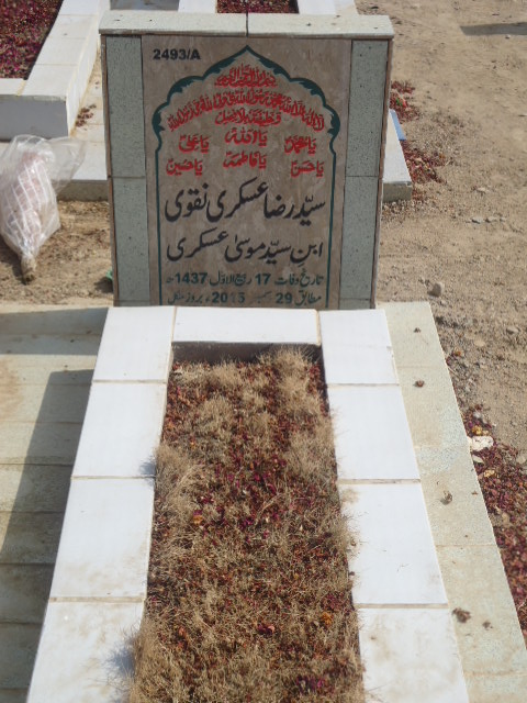 12493 – Syed Raza Askari Naqvi