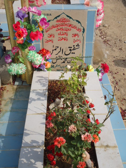 11618 – Shafiq Ur Rehman