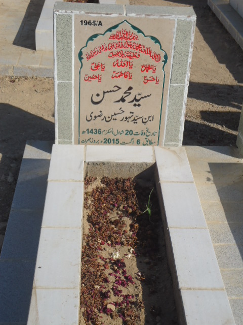 11965 – Syed Muhammad Hasan