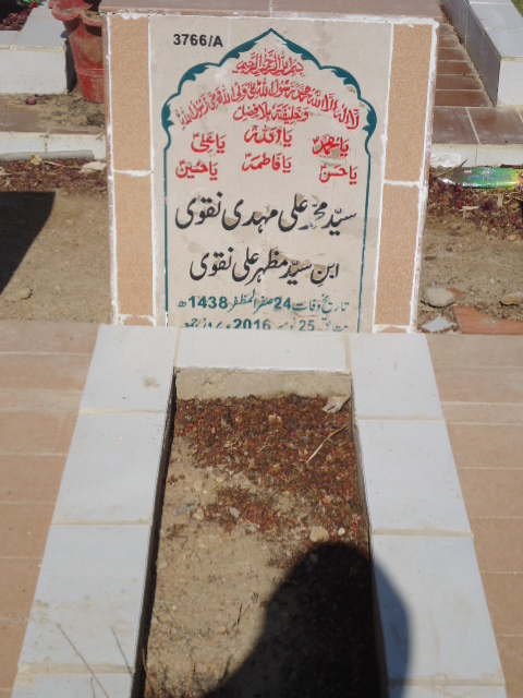 13766 – Syed Muhammad Ali Mehdi Naqvi