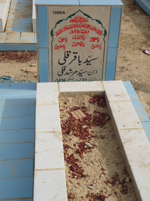 11668 – Syed Baqar Qulli